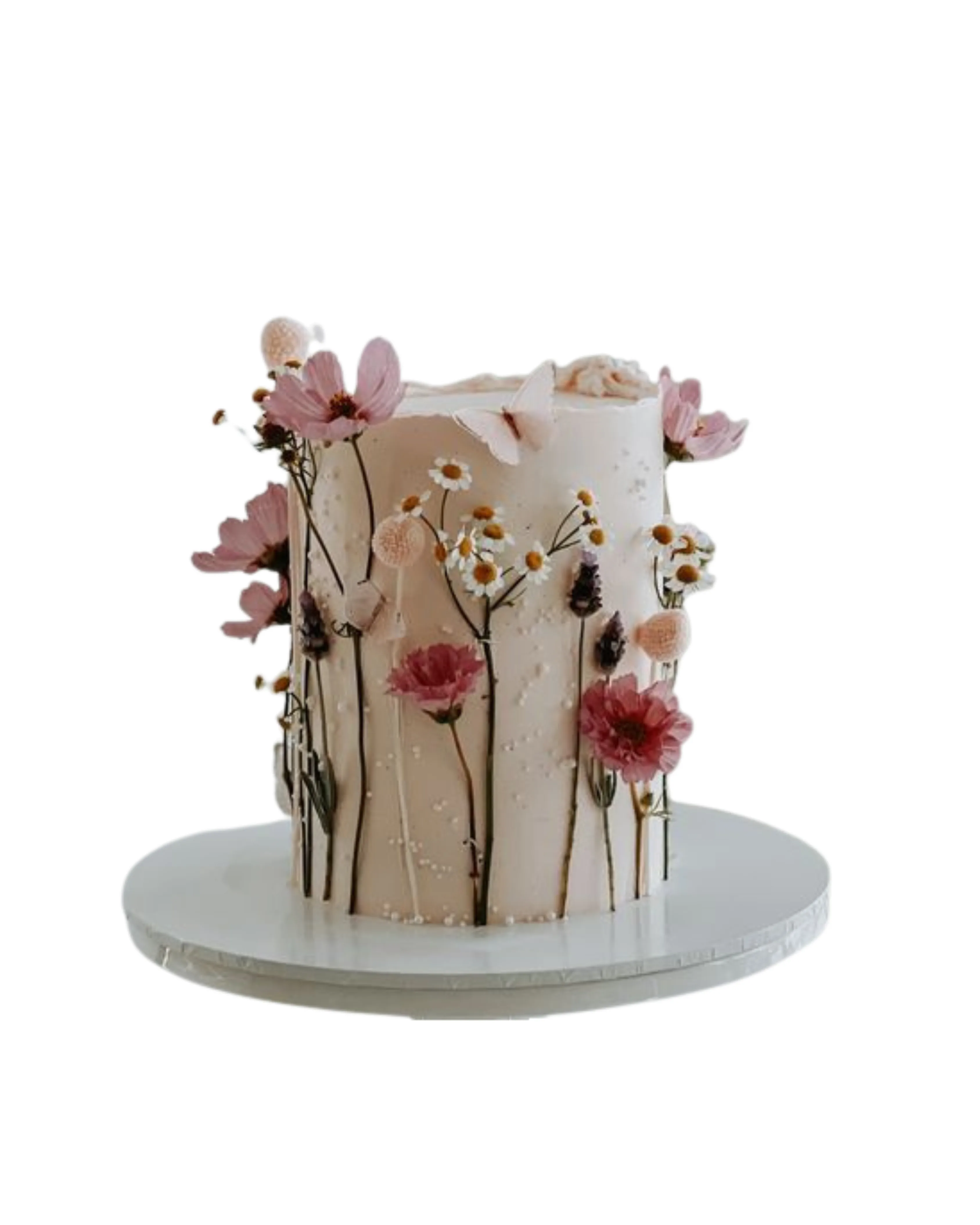cake image of 6" / 6" (£55)